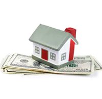 hays-county-property-tax-protest